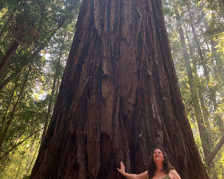 Jess Baum Senior Director of Regenerative Impact standing with a redwood tree